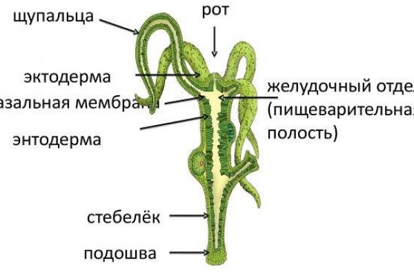 Кракен официальный сайт 2krnk cc