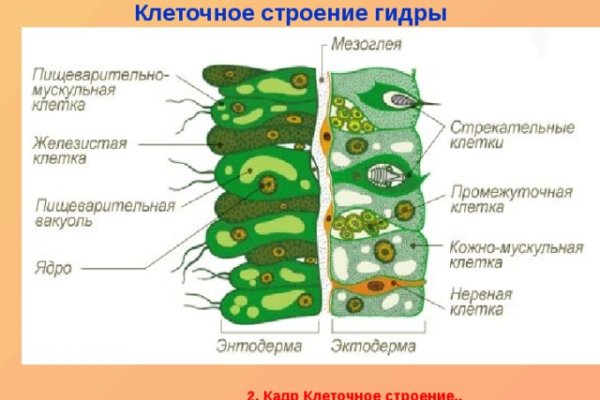 Кракен маркет что это